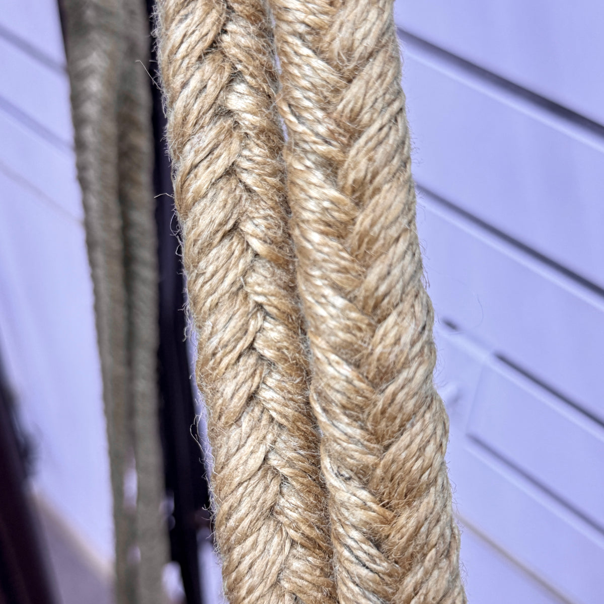 Grass Split Reins